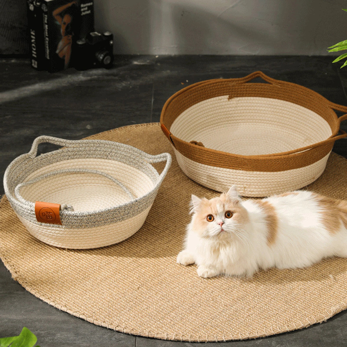 Nido Coda — Cuccia Cesta per Gatti