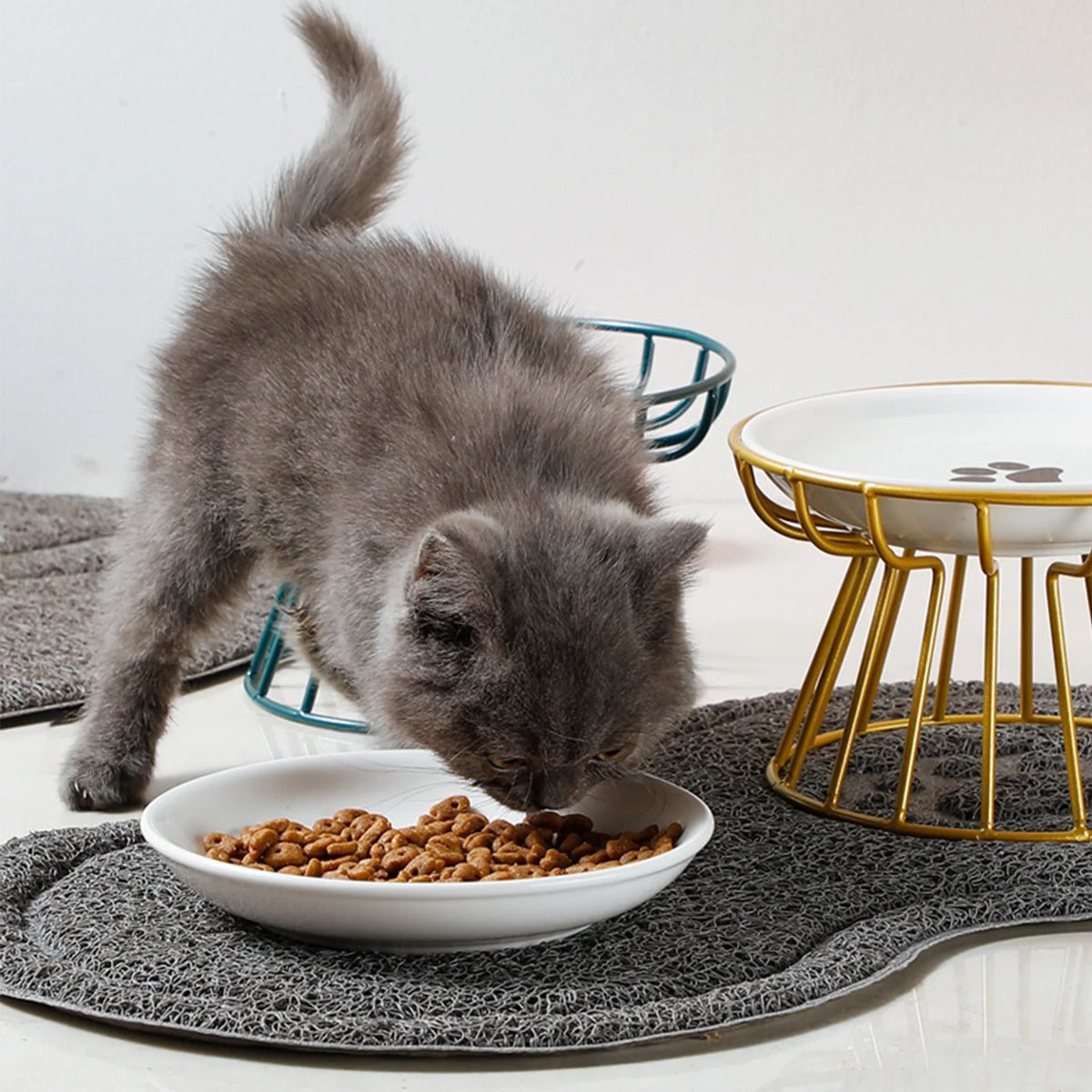 Alto — Piatto Rialzato in Ceramica per Gatti