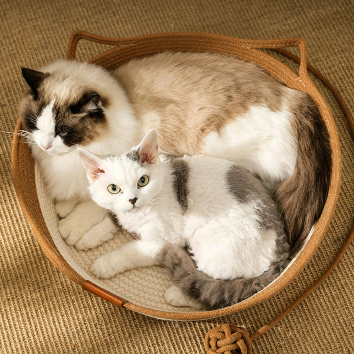 Nido Coda — Cuccia Cesta per Gatti